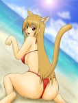  animal_ears asobi_ni_iku_yo! ass bikini blush eris_(asobi_ni_iku_yo!) fuuma_nagi huge_ass sitting smile swimsuit tail 