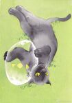  animal_focus ball black_cat cat colored_sclera from_above full_body grass highres holding holding_ball junsun looking_at_viewer lying no_humans on_back original playing simple_background traditional_media weibo_logo weibo_username yellow_sclera 