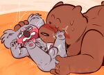  anal anal_fingering anthro balls blush brown_bear cartoon_network duo fellatio fingering genitals grizzly_(wbb) grizzly_bear hand_on_head koala male male/male mammal marsupial nom_nom_(wbb) oral penile penis sex the-alfie-incorporated ursid ursine vombatiform we_bare_bears 
