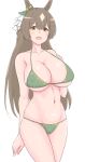  1girl :d animal_ears bangs bare_arms bare_shoulders bikini blush brown_eyes brown_hair collarbone commentary cowboy_shot green_bikini hair_between_eyes hair_ribbon horse_ears long_hair looking_at_viewer navel nishikaze_(makaso17) open_mouth ribbon satono_diamond_(umamusume) simple_background smile solo standing stomach swimsuit thighs umamusume very_long_hair white_background white_ribbon 