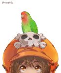  1girl absurdres animal animal_on_head bird brown_eyes brown_hair guilty_gear guilty_gear_strive head_only highres hood hoodie looking_up may_(guilty_gear) mil17459623 mouth_out_of_frame on_head orange_headwear orange_hoodie parrot simple_background skull_and_crossbones upper_body white_background 