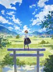  1girl black_ribbon black_skirt blush brown_hair cloud cloudy_sky fjsmu grasslands hat highres looking_at_viewer looking_back mountainous_horizon nature neck_ribbon outdoors pom_pom_(clothes) puffy_short_sleeves puffy_sleeves red_eyes red_footwear red_headwear reflection ribbon scenery shameimaru_aya shirt shoes short_hair short_sleeves skirt sky solo tokin_hat torii touhou tree water white_shirt 