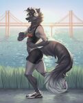  absurd_res anthro black_body black_fur bottomwear bulge canid canine clothing fox fur girly golden_gate_bridge grey_body grey_fur gym_bottomwear gym_clothing gym_shorts headphones hi_res hooters_uniform jogging kiruk male mammal papillaeci shorts solo 