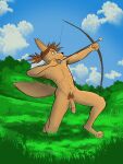  aiming_weapon anthro balls bow_(weapon) canid canine canis deego domestic_dog feet field genitals hair hi_res kneeling male mammal muscular nude penis ponytail ranged_weapon scenery sky solo weapon 