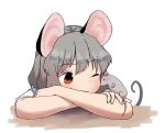  1girl absurdres animal_ears bangs blush commentary_request crossed_arms grey_hair highres kashiwa_kona looking_at_animal mouse mouse_ears mouse_girl mouse_tail nazrin one_eye_closed portrait red_eyes short_hair simple_background solo tail touhou white_background 