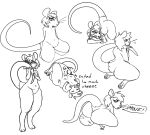  anthro asphyxiation big_butt big_tail butt chubby_anthro chubby_belly chubby_female duo facesitting female finnleafnsfw intersex intersex/female mammal murid murine raised_tail rat rat_tail rodent sitting sitting_on_another slightly_chubby solo thick_thighs wide_hips 