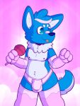  3:4 anthro armwear balls band-aid band-aid_on_nose bandage candy canid canine canis clothed clothing dessert food fur genitals girly hi_res legwear lollipop male mammal solo stockings thigh_highs tongue wolf wolfyzeeb zeeb_wolfy 