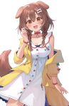  1girl :d animal_ears bangs blush bone_hair_ornament braid breasts brown_eyes brown_hair collar dog_ears dog_girl dog_tail dress hair_between_eyes hair_ornament highres hololive inugami_korone jacket large_breasts long_hair looking_at_viewer open_clothes open_jacket red_collar ruka_tou simple_background smile solo tail twin_braids virtual_youtuber white_background white_dress yellow_jacket 