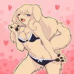  blonde_hair blue_eyes blush bow bra breasts brown_fur canine chest_tuft clothed clothes_pull clothing dog fangs female fur furry hair lace lingerie long_hair looking_at_viewer mammal open_mouth panties skimpy solo tail teasing tuft underwear wkar 