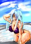  1girl arm_support bathing bent_over big_ass bikini blue_hair bra breasts cloud curvy danna_(karatekikku) danna_(pixiv) female green_eyes hips huge_breasts kamishirasawa_keine large_breasts lingerie long_hair messy_hair navel ocean panties plump sea sketch sky solo standing swimsuit thick_thighs thighs touhou underwear wet wide_hips 