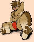  abs absurd_res akita akita_inu anthro athletic athletic_male blush bulge canid canine canis clothing domestic_dog fur hi_res jwbash male mammal pecs solo spitz underwear 