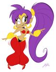  2013 alpha_channel breasts clothing ear_piercing ear_ring female footwear genie hair hi_res humanoid humanoid_pointy_ears long_hair not_furry one_eye_closed piercing ponytail purple_hair redblooper ring_piercing shantae shantae_(series) signature smile solo video_games wayforward wink 