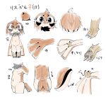  adult_(lore) anthro avian bird breasts brown_body brown_feathers brown_hair butt claws countershading doneru facial_markings feathers female hair head_markings japanese_text lisbelle_(doneru) looking_at_viewer markings model_sheet navel neck_tuft nude oscine passerine small_breasts solo sparrow talons text tuft winged_arms wings young 