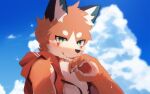  2019 4_fingers anthro bedroom_eyes blush canid canine clothing cloud fingers fox foxy_(nekojita) fur hand_on_mouth hoodie male mammal narrowed_eyes nekojita orange_body orange_fur outside red_clothing red_hoodie red_topwear seductive sky solo topwear white_body white_fur 