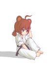  1girl absurdres ahoge animal_ears barefoot blush brown_hair closed_mouth commentary_request dougi feet highres karate_gi kuma-bound on_ground original pants purple_belt red_eyes shirt short_sleeves short_twintails simple_background sitting solo toes twintails white_background white_pants white_shirt 