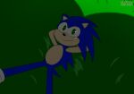  amy_rose anthro blue_body blue_fur duo eulipotyphlan female fur grass green_eyes hedgehog imminent_facesitting male male/female mammal plant relaxing sega smile sonic_the_hedgehog sonic_the_hedgehog_(series) zaviel 