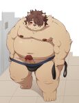 2022 anthro belly big_belly blush clothing erection genitals hi_res humanoid_genitalia humanoid_hands humanoid_penis kemono male mammal moobs navel nipples overweight overweight_male penis pomupomu490 solo underwear undressing 