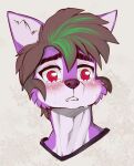  2022 anthro black_eyebrows black_hair bodily_fluids canid canine cheek_tuft crying eldiman eyebrows facial_tuft fur fur_tuft green_hair hair hi_res mammal multicolored_hair purple_body purple_ear purple_fur red_eyes solo tears tokami tuft two_tone_hair 