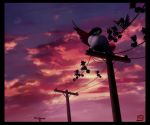  2010 avian bird black_border black_feathers border feathers feral heartgold honchkrow low-angle_view moon murkrow nintendo outside pok&eacute;mon pok&eacute;mon_(species) power_line sky solo video_games 