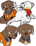  bird_dog canid canine canis clothed clothing collar dalmatian domestic_dog duo eleckratom feral hunting_dog labrador looking_aside looking_at_viewer lying male mammal marshall_(paw_patrol) nickelodeon on_front one_eye_closed paw_patrol retriever simple_background tail_wiggle zuma_(paw_patrol) 