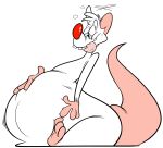  2022 3_toes 4_fingers absurd_res anthro belly big_belly buckteeth chubby_anthro chubby_male feet fingers fur half-closed_eyes hand_on_stomach hi_res male mammal mouse murid murine narrowed_eyes nude overweight overweight_anthro overweight_male pinky_(warner_brothers) raised_tail red_nose remmyfox rodent sitting slightly_chubby solo teeth thick_tail toes tongue tongue_out white_body white_fur 