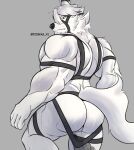  2022 absurd_res anthro artist_name big_butt butler butt canid canine canis fur harness hi_res looking_back male mammal mihoyo muscular muscular_anthro muscular_male red_eyes robinmg_45 solo video_games von_lycaon white_body white_fur wolf zenless_zone_zero 
