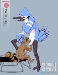  2_toes 3_toes 4_fingers absurd_res anthro anthro_on_anthro avian ball_fondling balls beak bird bird_feet black_beak black_body black_feathers blue_background blue_body blue_feathers bodily_fluids butt cartoon_network claws duo eyes_closed feather_tuft feathers feet fellatio fingers fondling fur fur_tuft genital_fluids genitals half-closed_eyes hand_on_head head_tuft hi_res looking_down male male/male mammal masturbation mordecai_(regular_show) narrowed_eyes neck_bulge nude one_leg_up open_beak open_mouth oral penile penile_masturbation penis penis_in_mouth precum procyonid pubes raccoon raised_leg regular_show rigby_(regular_show) sex simple_background sitting size_difference snowmutt tail_feathers talons tan_body tan_fur teeth toe_claws toes tongue tongue_out trampoline tuft two_tone_tail white_balls white_body white_feathers 