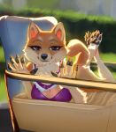  5ff anthro black_nose breasts canid canine canis claws domestic_dog eyebrows eyelashes female fur hauringu hi_res looking_at_viewer mammal orange_body orange_fur purple_eyes smile solo white_body white_fur 