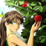  1girl adam_and_eve apple banhammer-tan bible_story brown_hair eve eve_(mythology) food forbidden_fruit fruit garden_of_eden genesis green_eyes iichan.ru leaf light_rays long_hair looking_at_viewer mascot ru-chans solo sunbeam sunlight tank_top tree_of_the_knowledge_of_good_and_evil 