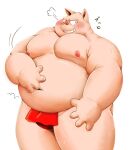 2022 anthro asian_clothing belly blush clothing domestic_pig east_asian_clothing fundoshi japanese_clothing kemono male mammal meg_hoi moobs navel nipples overweight overweight_male red_clothing red_fundoshi red_underwear simple_background solo suid suina sus_(pig) underwear white_background 