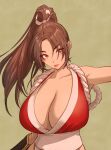  1girl breasts brown_eyes brown_hair fatal_fury fujii_eishun highres large_breasts lipstick makeup ninja ponytail revealing_clothes shiranui_mai simple_background solo the_king_of_fighters 
