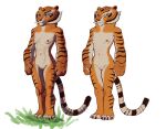  anthro breasts dreamworks felid female furry genitals hi_res kung_fu_panda mammal master_tigress nipples nude pantherine pussy sabrotiger solo 