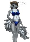  absurd_res anthro blue_bra blue_clothing blue_panties blue_underwear bra breasts brown_hair canid canine canis clothing female fur grey_body grey_fur hair hexagon hi_res katherine_dickens long_tail looking_at_viewer mammal panties solo standing underwear wolf xefino 