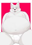  2022 absurd_res anthro ayata belly big_belly black_nose bulge canid canine canis clothing grey_body hi_res kemono male mammal mature_male moobs navel nipples sitting underwear wolf 