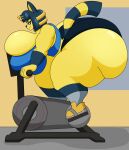  animal_crossing ankha_(animal_crossing) anthro big_breasts big_butt breasts butt clothed clothing domestic_cat exercise_bike felid feline felis female hi_res huge_breasts huge_butt hyper hyper_breasts hyper_butt mammal nintendo solo thick_thighs user3345 video_games 