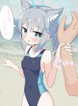  1boy 1girl animal_ear_fluff animal_ears bangs bare_arms bare_shoulders beach black_one-piece_swimsuit blue_archive blue_eyes blurry blurry_background blush breasts collarbone commentary_request covered_navel day depth_of_field disembodied_limb grey_hair hair_between_eyes halo highres holding_another&#039;s_wrist munakyomu one-piece_swimsuit outdoors parted_lips ponytail sand shiroko_(blue_archive) shiroko_(swimsuit)_(blue_archive) small_breasts solo_focus swimsuit translated water 