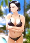  1girl artist_logo artist_name bangs bare_arms bikini black_bikini black_hair blurry blurry_background breasts brown_eyes cleavage collarbone cowboy_shot highres infinote large_breasts looking_at_viewer looking_to_the_side navel original outdoors palm_tree shiny shiny_hair shiny_skin short_hair solo swimsuit tree water wet yashiki_yuuko 