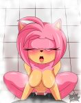  amy_rose anthro bathroom bodily_fluids breasts cowgirl_position cum duo eulipotyphlan eyes_closed female first_person_view from_front_position fur genital_fluids genitals hedgehog hi_res male male/female mammal nipples on_bottom on_top open_mouth penetration pink_body pink_fur pussy pussy_juice sega sex sirjzau sonic_the_hedgehog_(series) spread_legs spreading unknown_species vaginal vaginal_penetration wet wet_body 