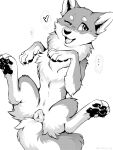 &lt;3 2018 3:4 animal_genitalia animal_penis anthro canid canine canine_penis canis claws domestic_dog female feral genitals hi_res hindpaw hioshiru mammal monochrome one_eye_closed open_mouth pawpads paws penis shiba_inu simple_background solo spitz spread_legs spreading toe_claws white_background 
