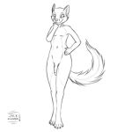  1:1 anthro canid canine fox genitals girly jackspartan male male/male mammal monochrome nude penis solo 