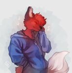  ambiguous_gender anthro bat_soup_(artist) black_body black_ears black_fur black_nose black_paws canid canine clothing floppy_ears fluffy fluffy_tail fox fur hair hi_res hoodie inner_ear_fluff jesam_(jesam) mammal multicolored_body multicolored_fur red_body red_fox red_fur red_hair topwear tuft white_body white_ear_fluff white_fur 