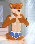  anthro bathroom boxers_(clothing) bulge canid canine canis clothed clothing digital_media_(artwork) fur hi_res lubanart male male/male mammal shower solo underwear 