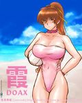  beach choker dead_or_alive kasumi kasumi_(doa) tecmo volleyball 