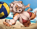  2022 absurd_res anthro beach big_breasts bikini breasts clothed clothing countershading felid female fur hair hi_res mammal open_mouth outside pantherine sand seaside sleepiness18 solo swimwear tiger vollyball 