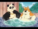  06junior11 2022 anthro bathing belly black_bars black_body black_nose canid canine canis cute_fangs detailed_background domestic_dog duo eyes_closed giant_panda hi_res hot_spring letterbox male mammal moobs mountain nipples overweight overweight_male sitting ursid water white_body 