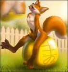  anal anal_masturbation anal_penetration anthro canid canine exercise_ball fox hi_res improvised_sex_toy male mammal masturbation penetration solo solo_focus space_hopper zenthetiger 