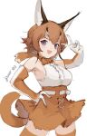  1girl bare_shoulders blue_eyes blush bow bowtie brown_bow brown_bowtie brown_gloves brown_hair brown_skirt brown_thighhighs caracal_(kemono_friends) caracal_ears cat_girl cat_tail commentary gloves hand_on_hip high-waist_skirt highres jknor719 kemono_friends looking_at_viewer multicolored_hair shirt short_hair skirt solo tail thighhighs v white_hair white_shirt zettai_ryouiki 