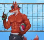  abs absurd_res ansart anthro ball beach beverage canid canine canis clothing hat headgear headphones headset headwear hi_res male mammal muscular muscular_anthro muscular_male red_wolf seaside soda solo sport volleyball wolf 