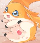  anthro anus balls bandai_namco blue_eyes blush butt digimon digimon_(species) driosawm embarrassed erection feral genitals hi_res looking_at_viewer male patamon penis presenting presenting_anus solo tapering_penis wings 