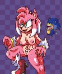  absurd_res amy_rose anthro breasts eulipotyphlan fangs female genitals hedgehog hi_res male mammal muscular omegamax pussy sega solo sonic_the_hedgehog sonic_the_hedgehog_(series) tagme were wereeulipotyphlan werehog 